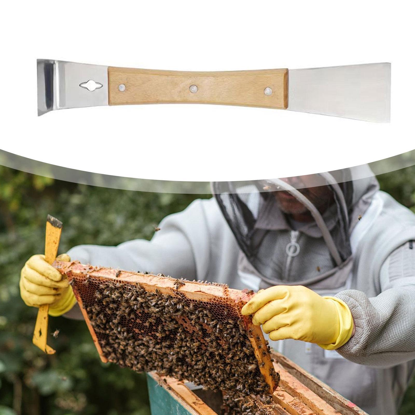 내구성 있는 스테인리스 스틸 벌집 긁개 도구, 연장된  - Workshop Tools Knife 리뷰 및 가격